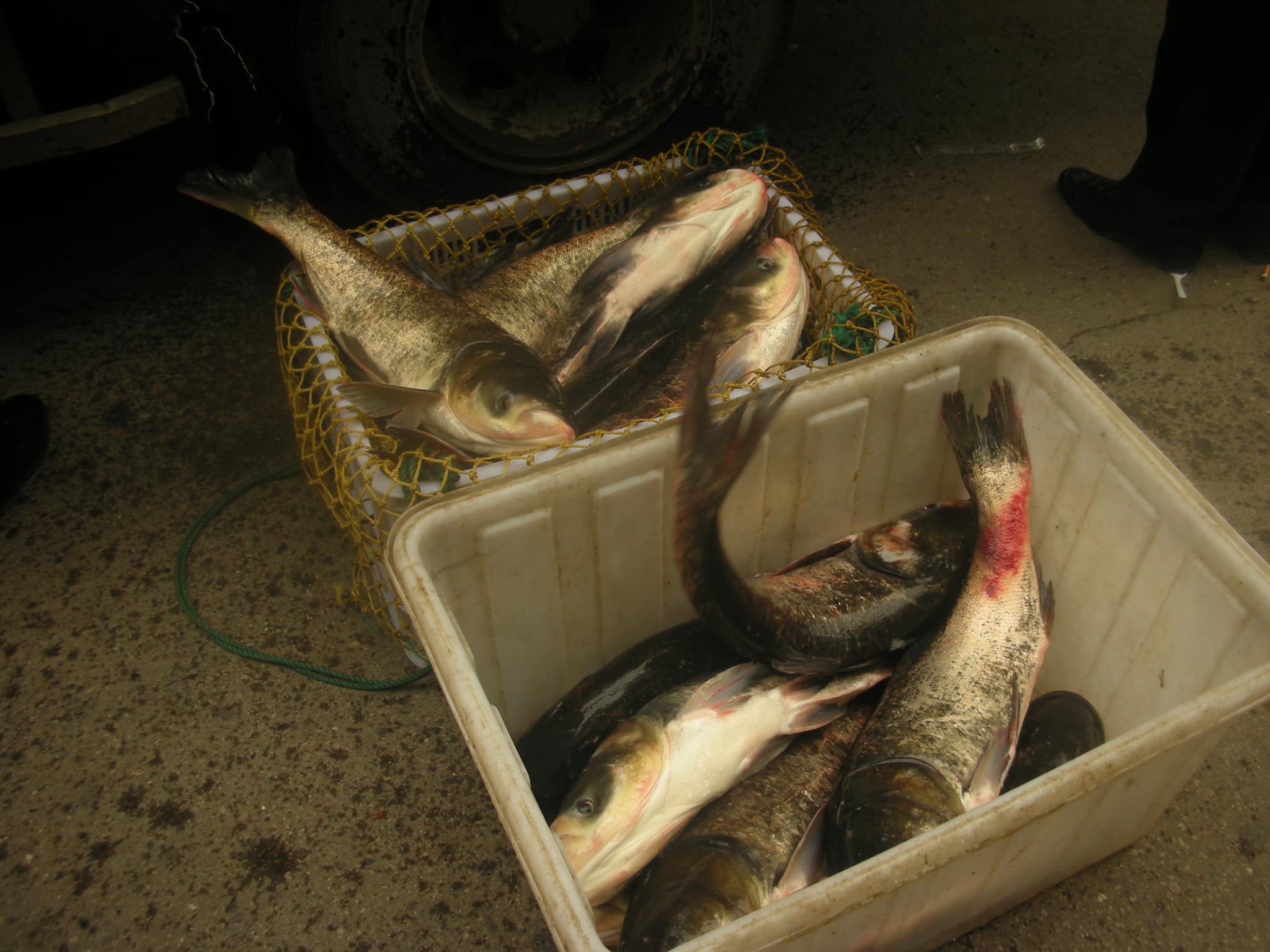 三国の呉や六朝・明・中華民国などの都として栄えた南京(その7.南京グルメ編)